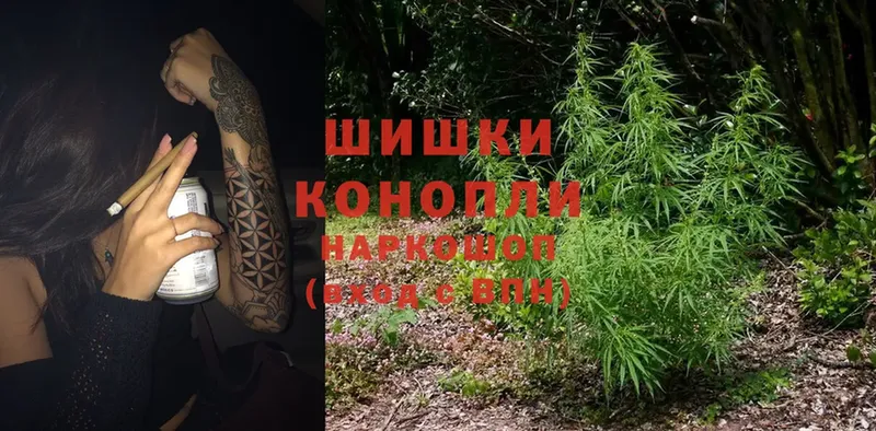 Шишки марихуана White Widow  Наволоки 